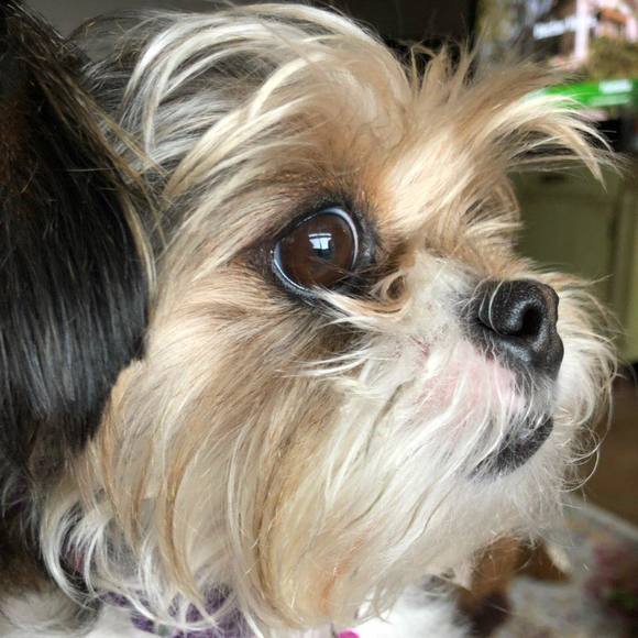 Meet your Posher, Dede - Picture 2 of 2